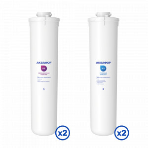 Комплект сменных модулей для Аквафор DWM 31 на год (без мембраны)